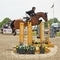 Nicole Lockhead Anderson Jumps to First Place with New Ride in the Events Through a Lens Talent Seeker Qualifier.
